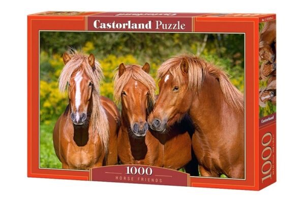 1000 CABALLOS AMIGOS