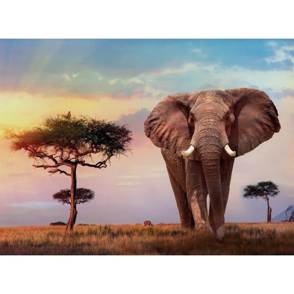 500 PUESTA DE SOL EN ÁFRICA