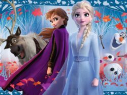 viaje a los desconocido, Frozen II 2x24 piezas