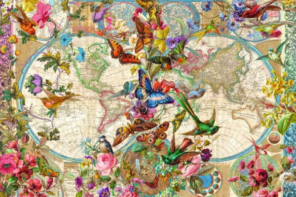 mapa flora y fauna