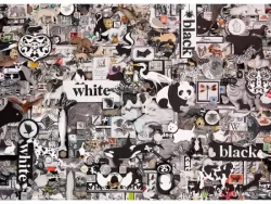 1000 Blanco y negro: Animales