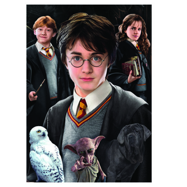 puzzle-educa-harry-potter-piezas-miniatura-de-1000-piezas-referencia-19490-puzzlestumecompletas